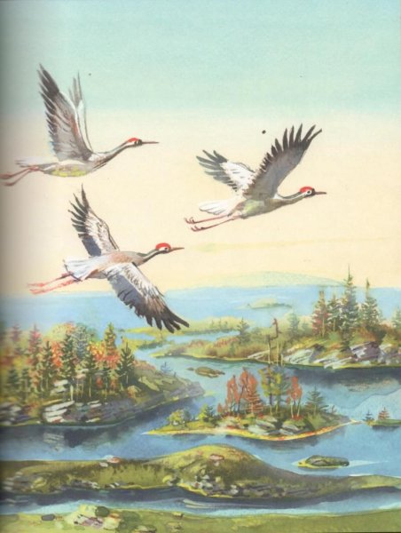 Полет журавлей в небе