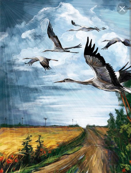 Аист в небе