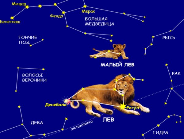 Созвездие Льва на карте звездного неба
