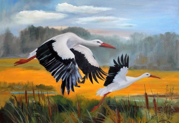 Журавль рисунок