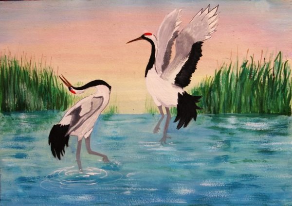 Журавли на рассвете