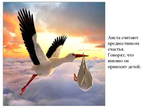 Пейзаж с аистами