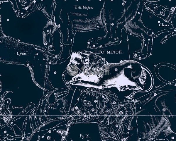 Ян гевелий атлас созвездий Лев