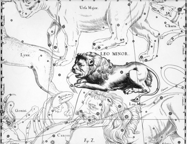 Атлас Гевелия Лев