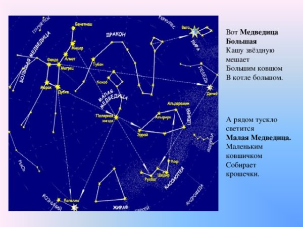 Малая Медведица на карте звездного неба