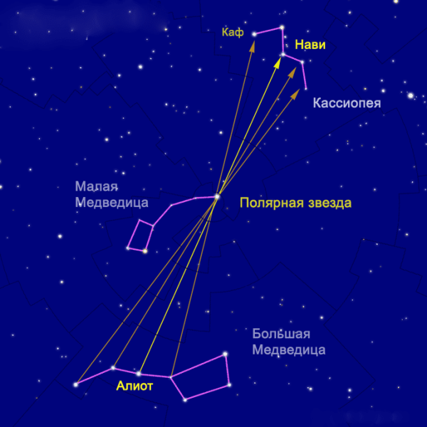 Волопас гончие псы большая Медведица