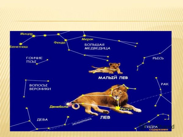 Созвездие Рысь на карте звездного неба