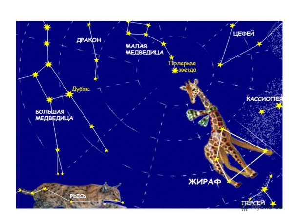 Туманность Андромеды Созвездие Андромеды