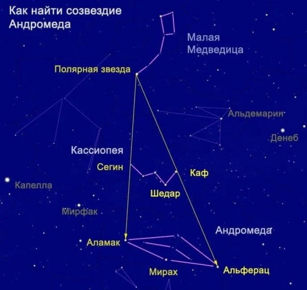 Звезды в созвездии большой медведицы и малой медведицы