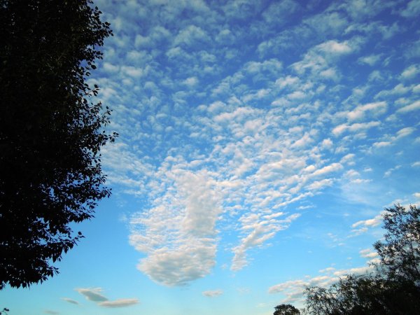 Летнее небо с облаками