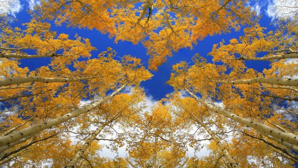 Голубое осеннее небо