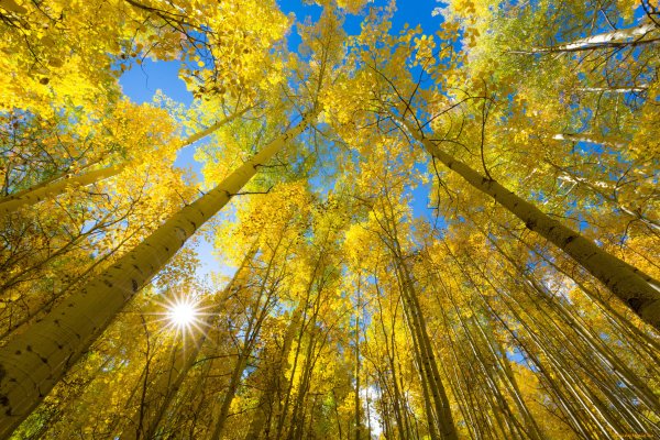 Осень солнце