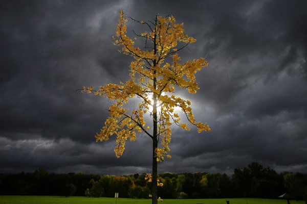 Пасмурное небо осенью