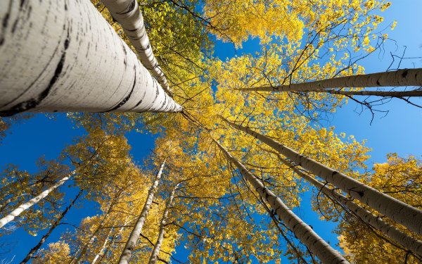 Осенний воздух