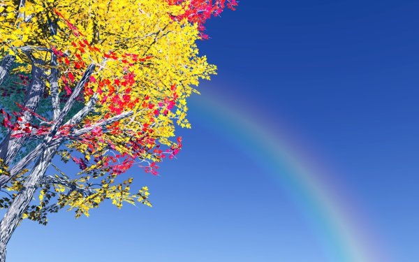 Радуга в природе