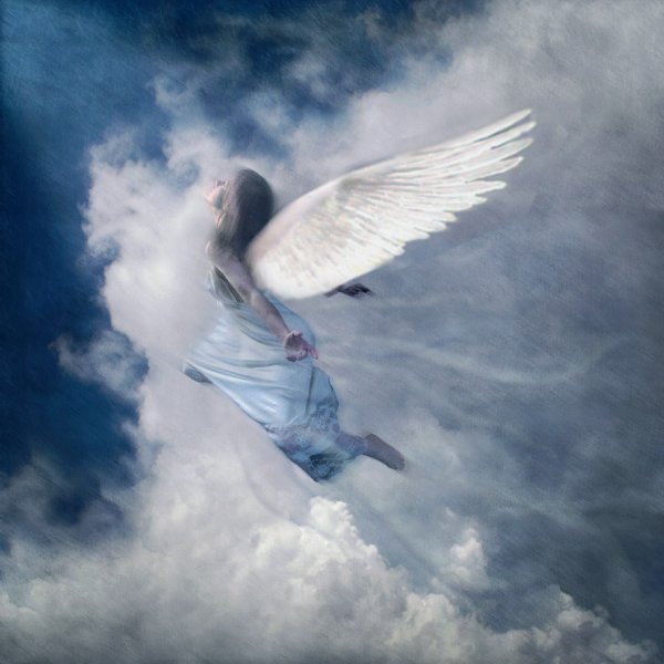 Ангелы летают