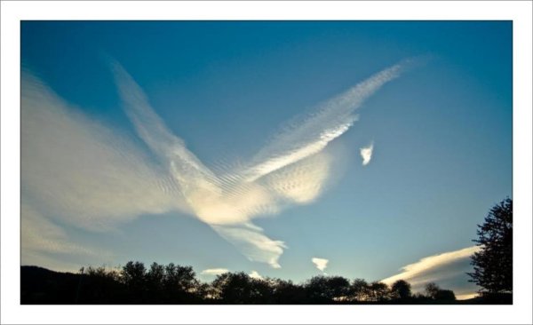 Душа в небе