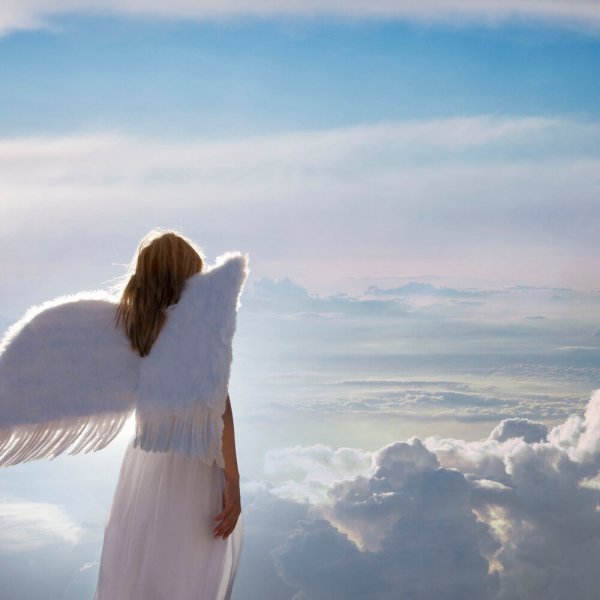 Ангелы летают