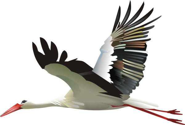 Журавли мультяшные