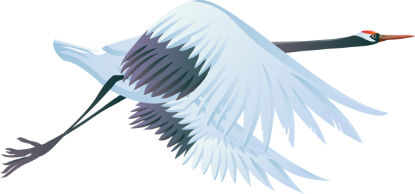 Птицы в полете на прозрачном фоне