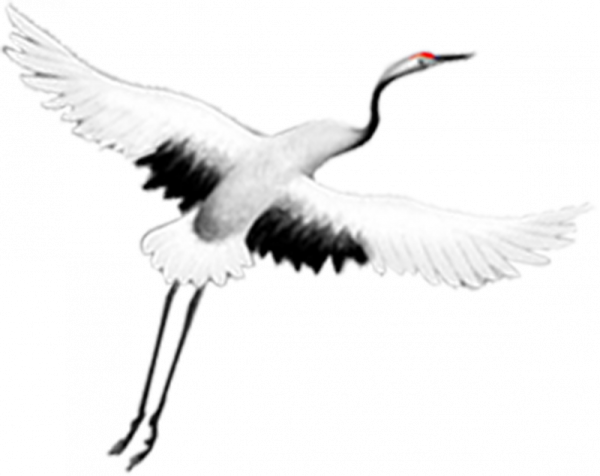 Летят Журавли