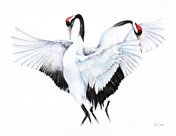 Голубое небо с журавлями