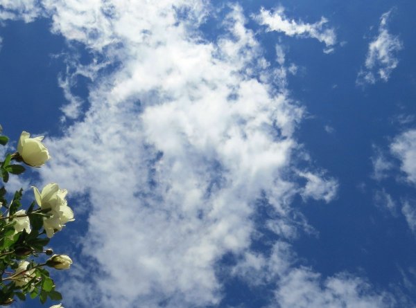 Небо солнце