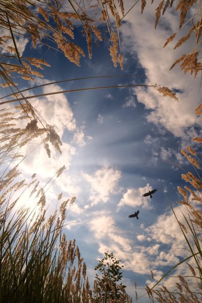 Чистое небо с облаками