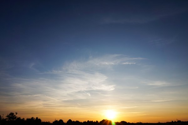 Голубь в облаках