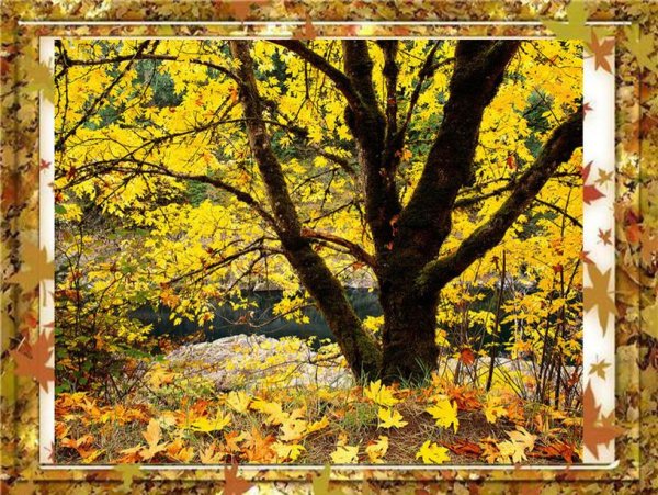 Солнышко блистало