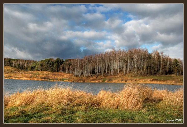 Стихи Пушкина для детей