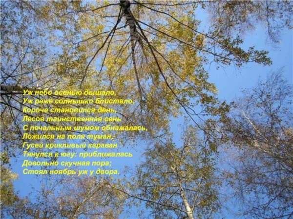 Пушкин уж небо осенью