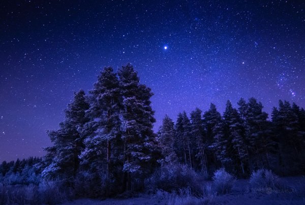 Красивое Звёздное небо ночью