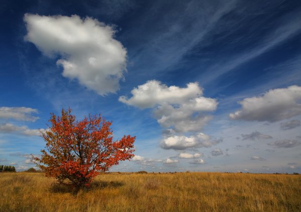 Осенние облака
