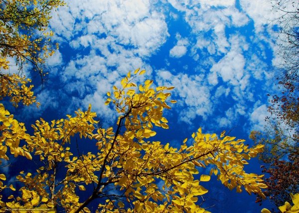 Небо осенью