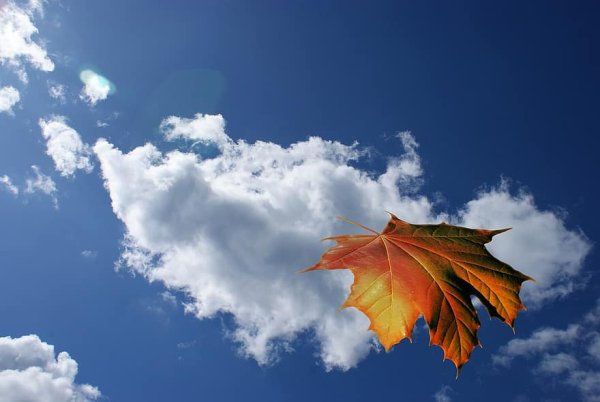 Тучи осенью