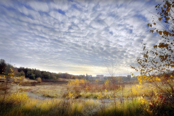 Осень голубое небо