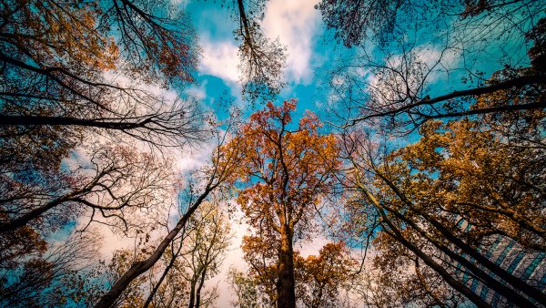 Небо осенью