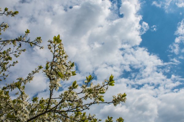 Небо весной