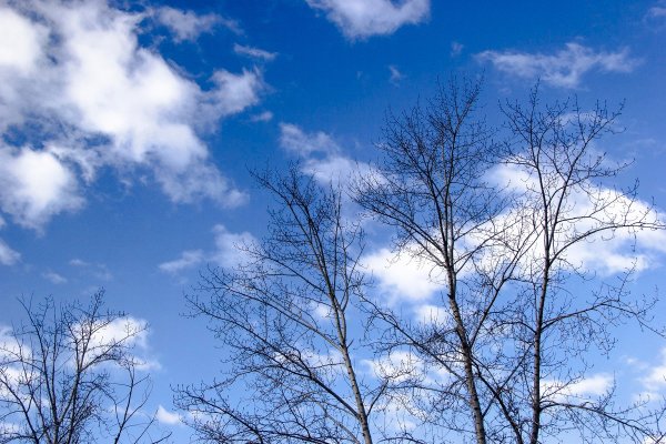 Весеннее чистое небо