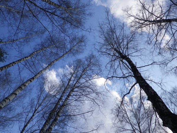 Ранняя Весна небо