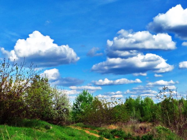 Небо солнце