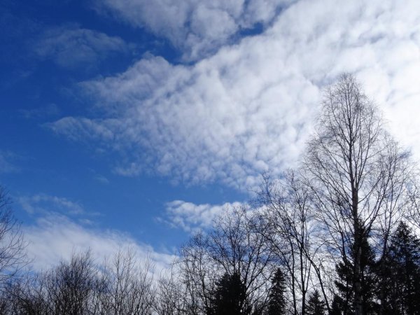 Весеннее небо