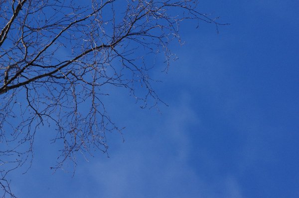 Весеннее солнце