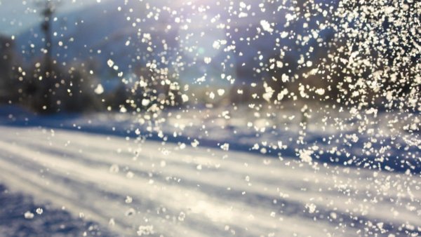 Снежинка на ладони