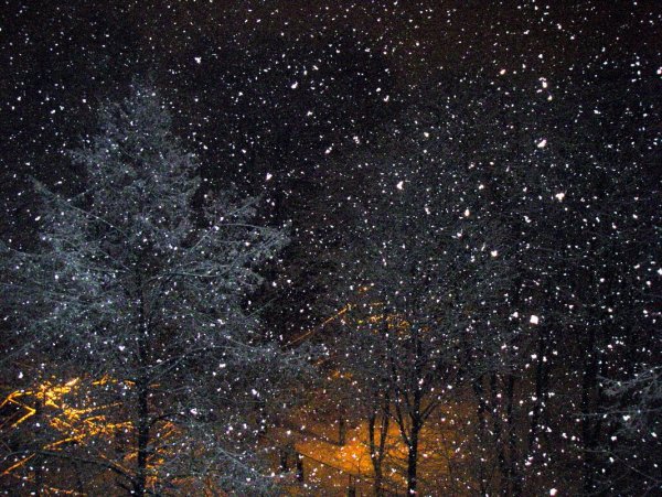 Крупные хлопья снега