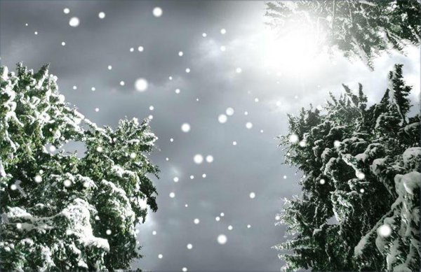 Снежинки летят