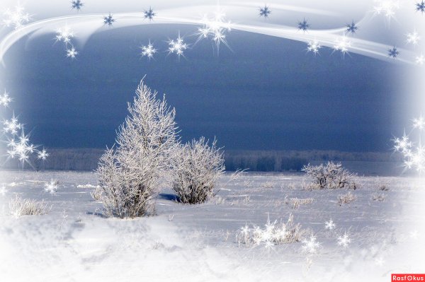 Падающий снег