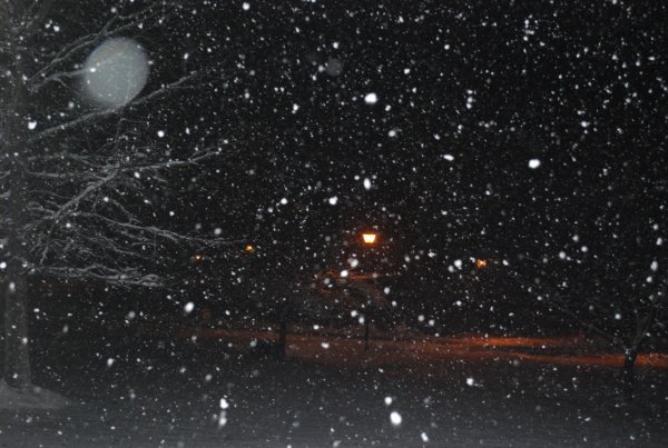 Снегопад метель