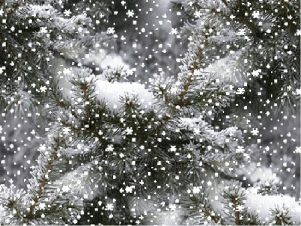 Дети радуются зиме